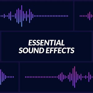 BASIC SOUND EFFECT AND FILMMATES
